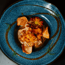 Ceviche Japón Thai (Maracujá) — Salmã, Leite de Tigre, Calda de Maracujá Picante